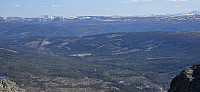 JoSo_20250509_681dc331a38ed.jpg