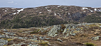 JoSo_20250512_6821c2066ddac.jpg