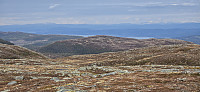 JoSo_20250512_6821c20ab0830.jpg