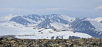 JoSo_20250514_6824827d1ff84.jpg