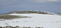 JoSo_20250514_6824827f0c7aa.jpg