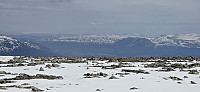 JoSo_20250514_6824827fe2c85.jpg