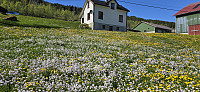 JoSo_20250522_682f3ee373237.jpg