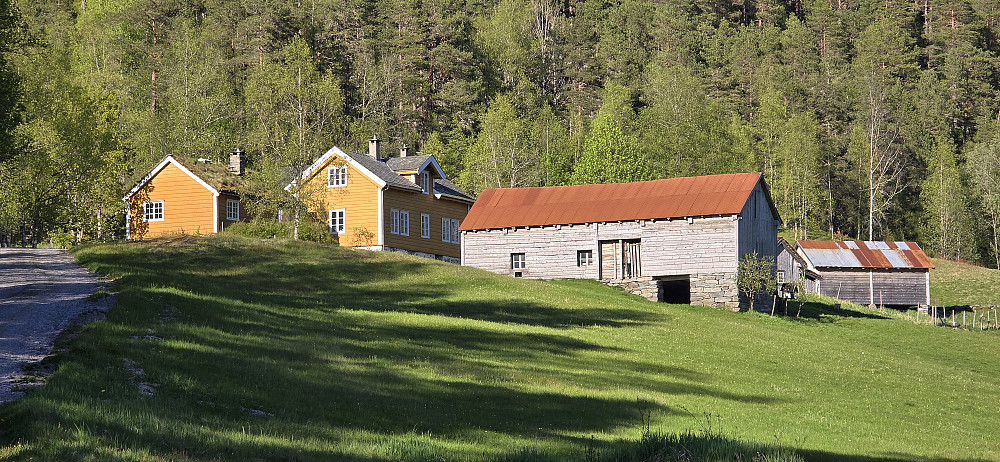 Flugedalen - Et vakkert sted; og en trivelig beboer :)
