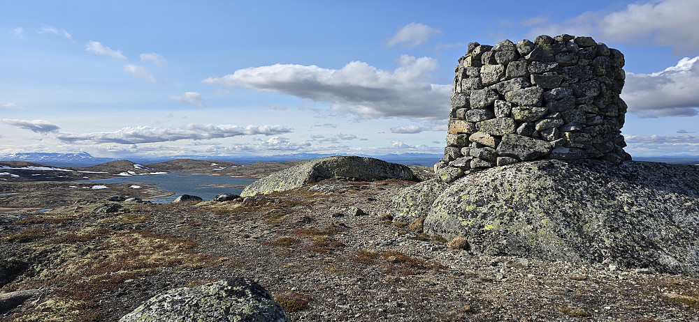 Fjellbunuten