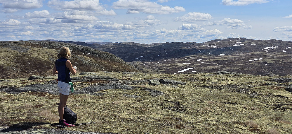 Søltjønnhovda Vest