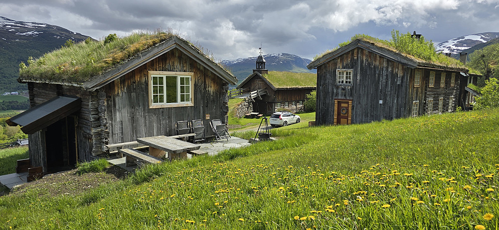 Bjerkaker
