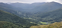 JoSo_20250623_68596d3a5a1b0.jpg