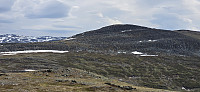 JoSo_20250623_68597e317c263.jpg