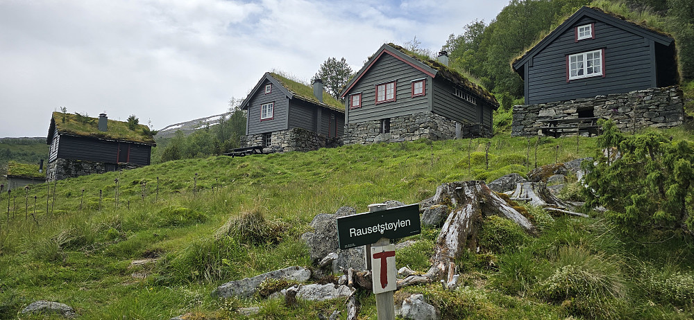 Rausetstøylen
