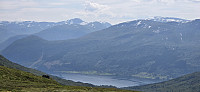 JoSo_20250716_6876d54ddf027.jpg