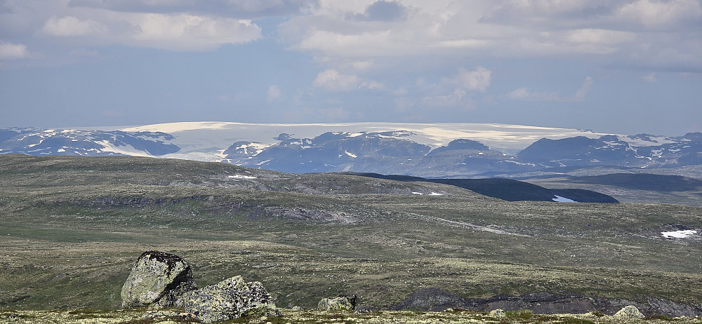 Hardangerjøkulen