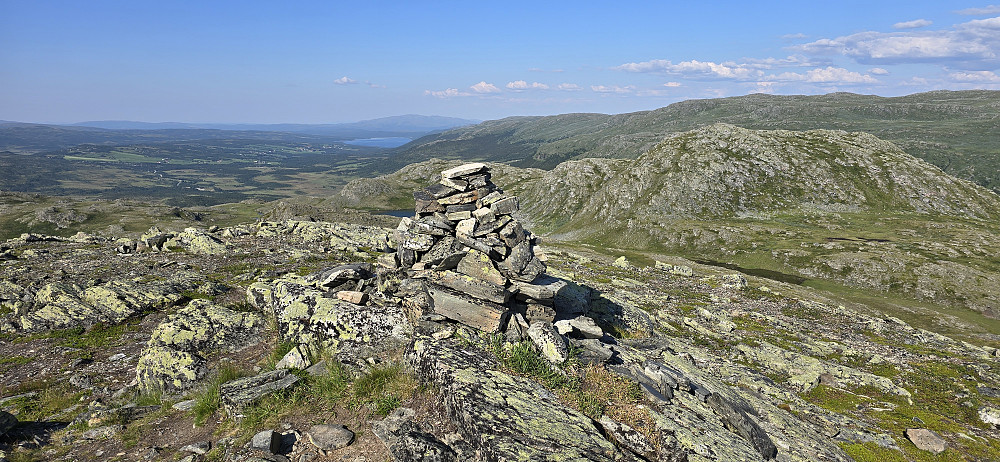 Tjønnpiken