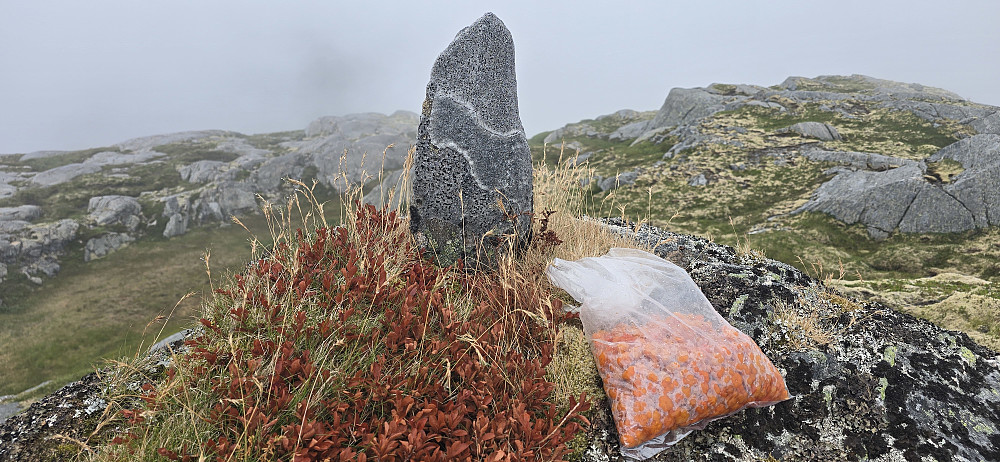 Øst for Kudalsfjellet