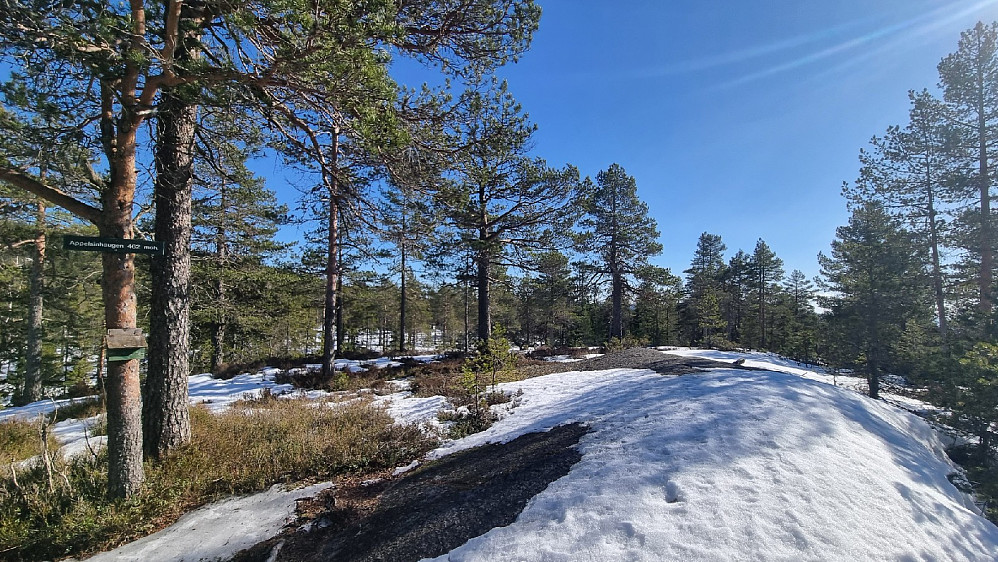 Appersinhaugen