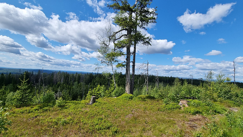 Vardåsen i Enebakk