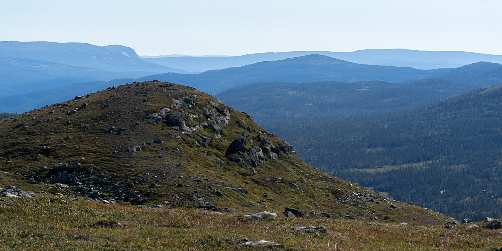 Skurvenatten i front med Langemyrfjellet til høyre (den slake "pyramiden"). Bukollen er den bratte bakerst til venstre 