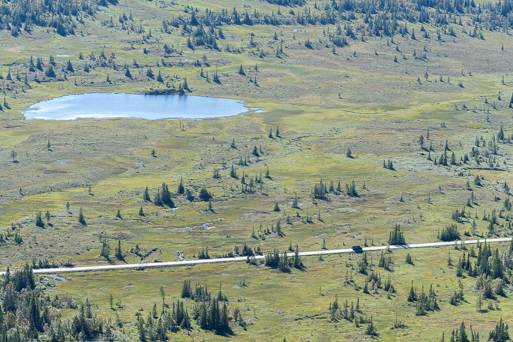 Flentetjernet
