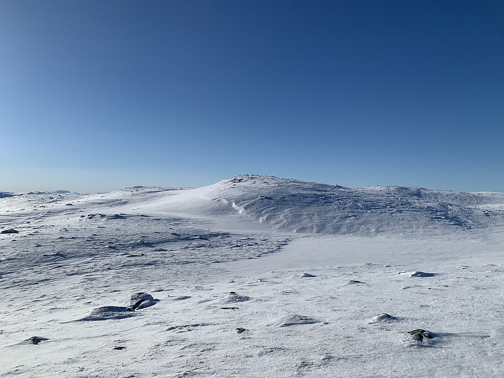 Nord for Piktjernet