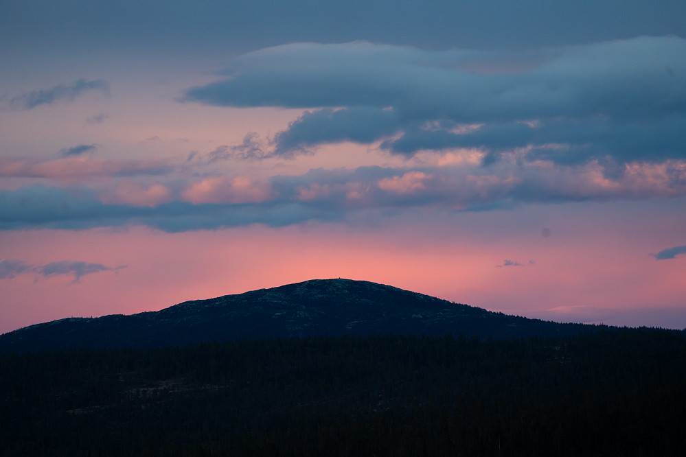 Langemyrfjellet. Mai