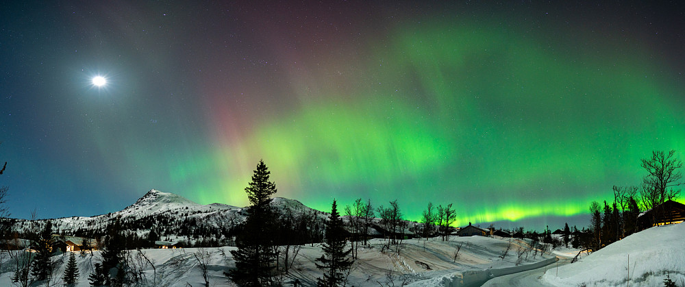 Kanskje det kraftigste nordlys-showet jeg har sett så langt sør. Flentpiken til venstre. Februar