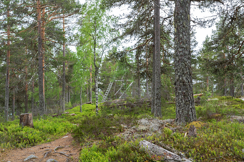Toppunktet med tårnet bak