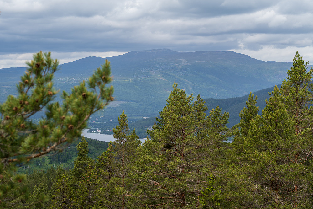 Utsikten mot Norefjell fra tårnet