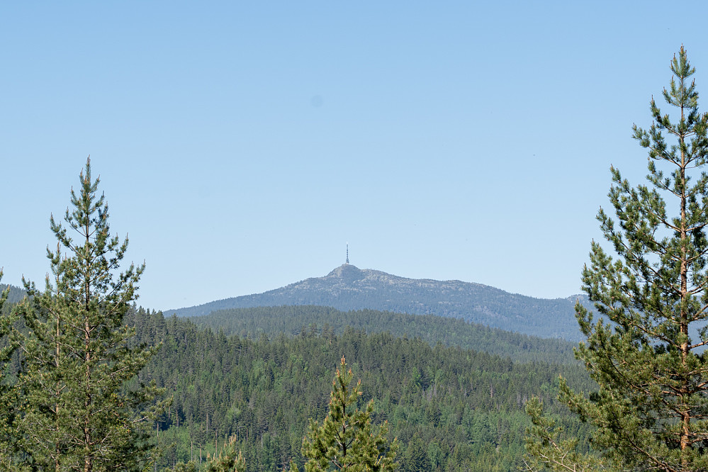Knutetårnet