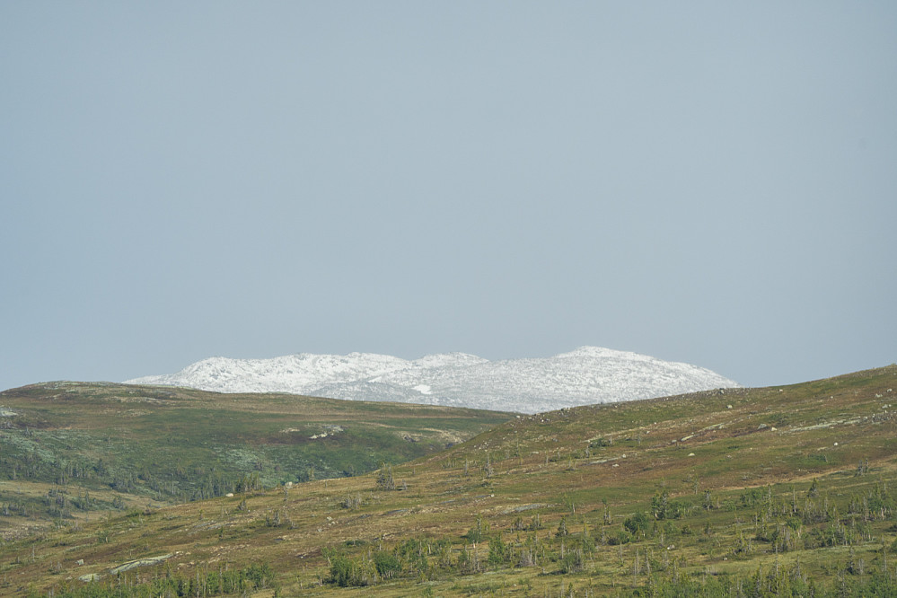 Sesongens første, eventuelt siste snø over Norefjell. 9. Juni