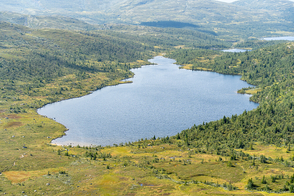 Fjelløkteren
