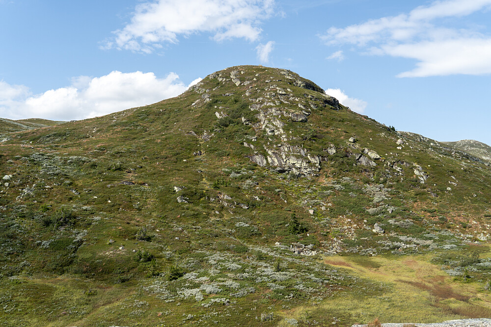 Tilbakeblikk på Skurvenatten 