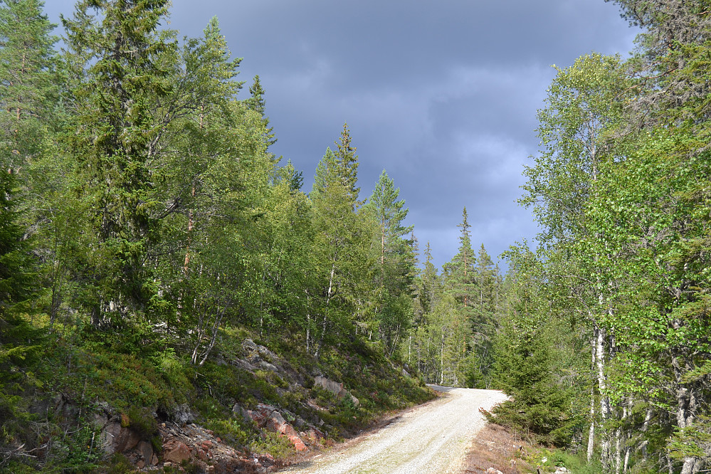 Opp mot Hestedalen. Hvordan blir været der framme tro?