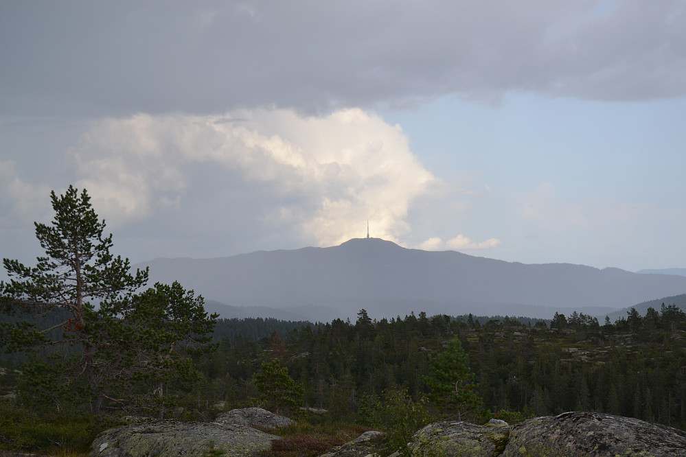Fra stien øst for Ræplifjell - mot Jonsknuten. Det tordner, og det er regn i anmarsj.
