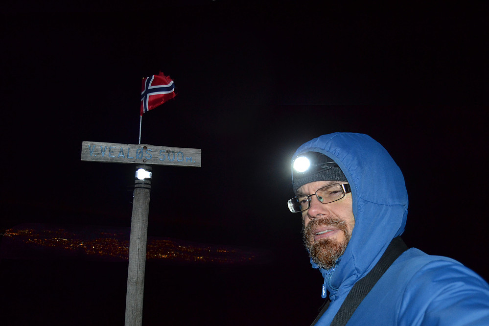 Vestre Vealøs