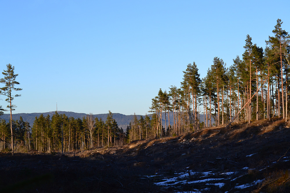 Fra Mauråsen
