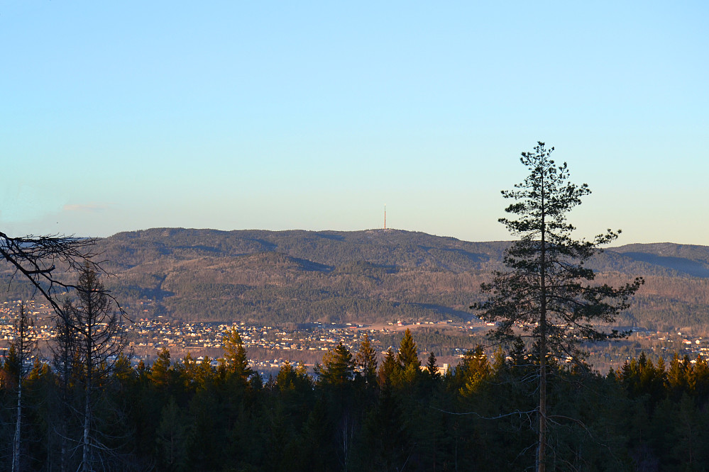 Fra Brentås mot Vestre Vealøs
