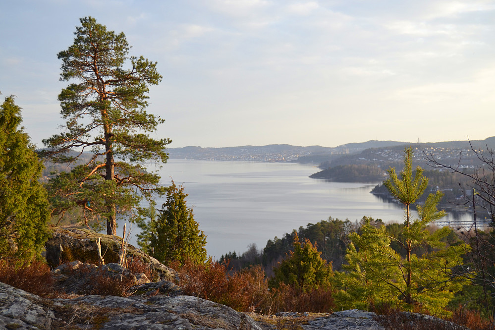 Fra Presteåsen