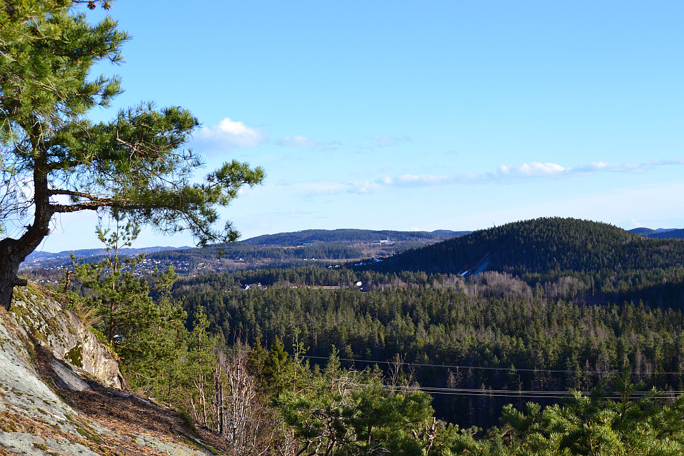 Tinnskollen