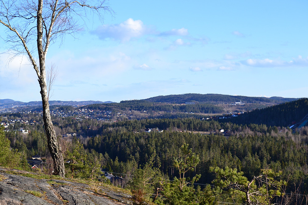 Tinnskollen
