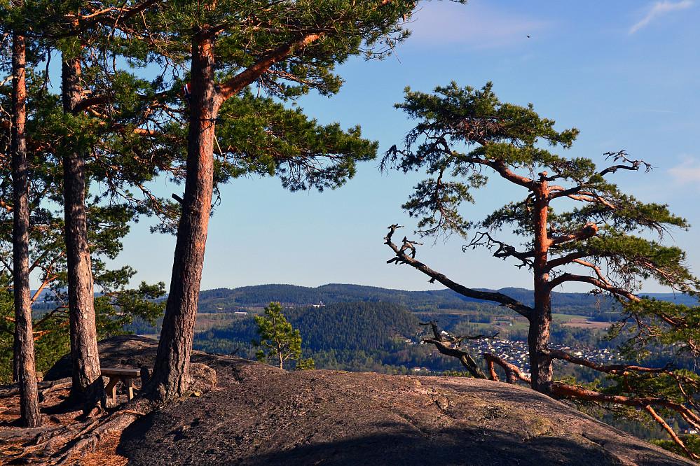 Fantekjerringkollen