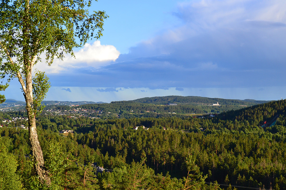 Tinnskollen