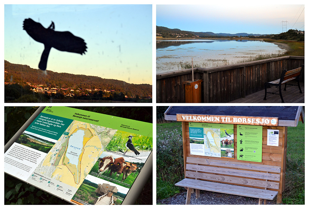 Børsesjø naturreservat