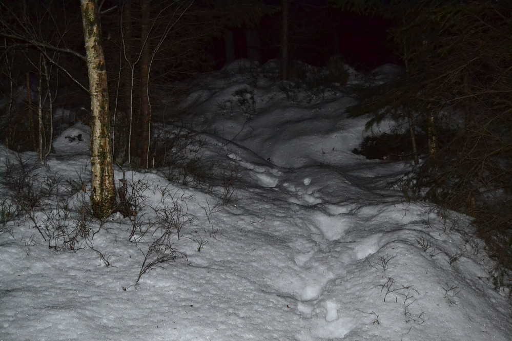 Fra Munkersdalen opp mot kaperkollen - i bakevja mellom Rødgangskollen og Kaperkollen. Her var det gått en før oss.