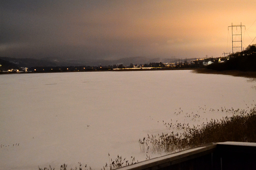 Børsesjø fra Fugleamfiet