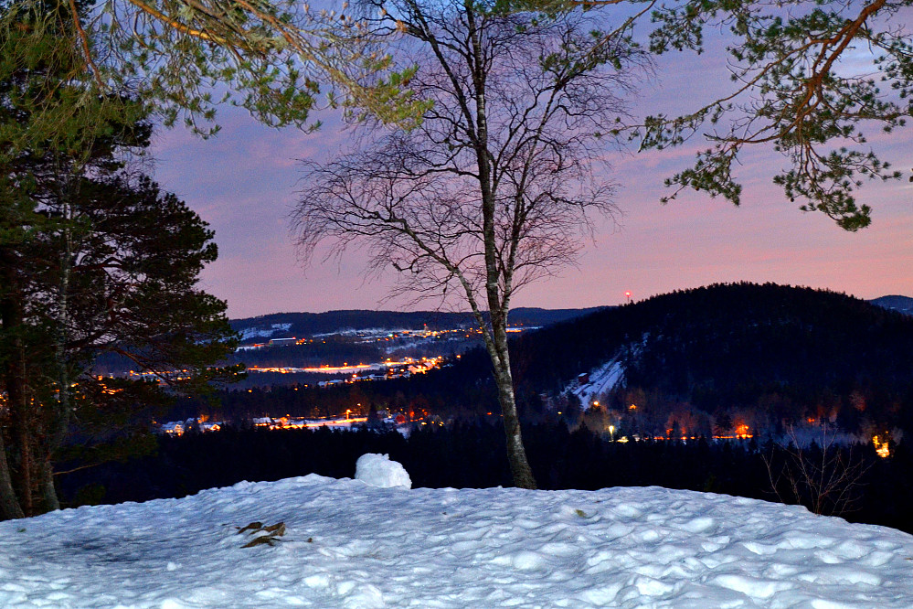 Tinnskollen