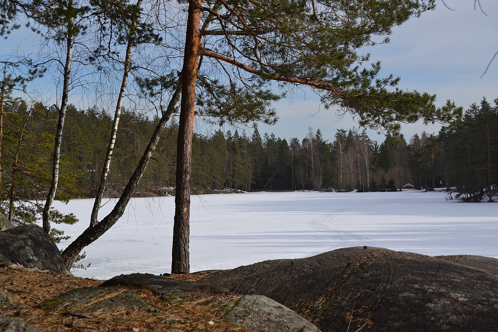 Åletjern