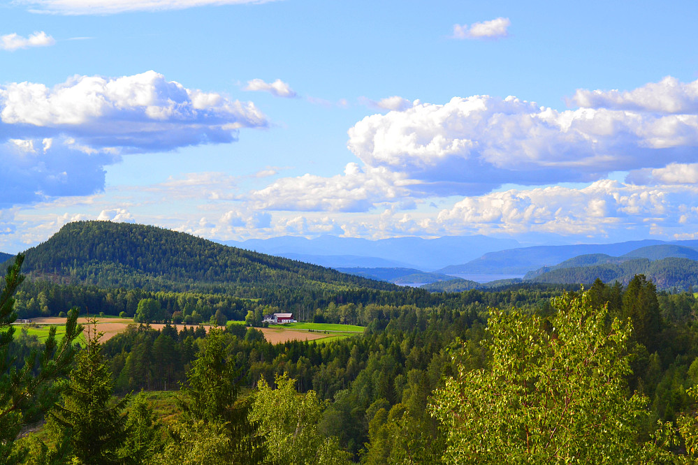 Utsikt fra Kjerkeåsens nordre del, mot Holtankollen og Nordsjø
