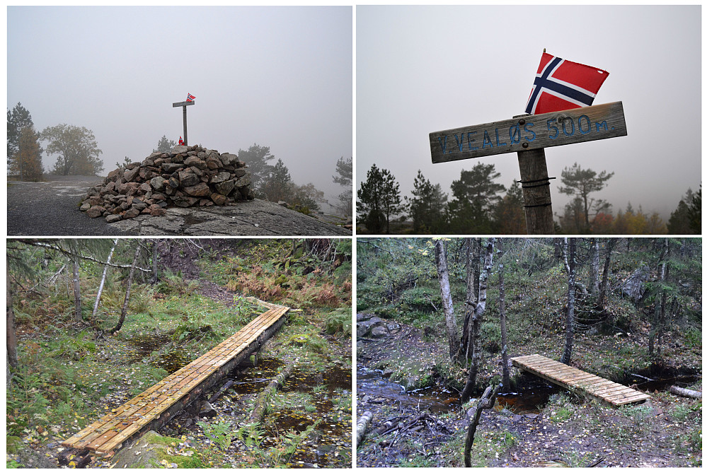 Vestre Vealøs