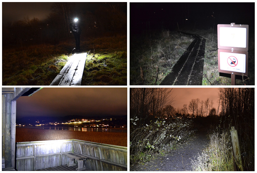Børsesjø 05.11.2013