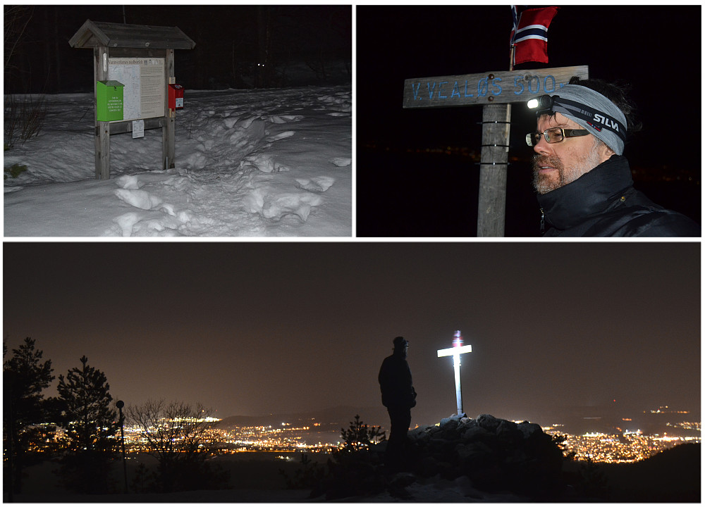 Vestre vealøs 28.02.2024